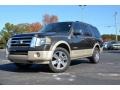 HS - Stone Green Metallic Ford Expedition (2008)
