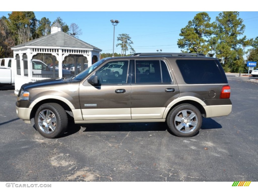 Stone Green Metallic 2008 Ford Expedition King Ranch Exterior Photo #74132144