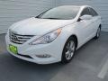 Shimmering White - Sonata Limited Photo No. 6