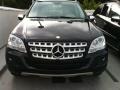Black - ML 350 4Matic Photo No. 2