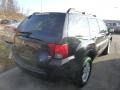 2005 Kalapana Black Mitsubishi Endeavor LS AWD  photo #2