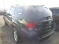 2005 Kalapana Black Mitsubishi Endeavor LS AWD  photo #4