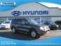 Pewter Gray 2005 Hyundai Santa Fe GLS 4WD
