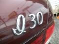 Brown Pearl - I 30 Touring Photo No. 16