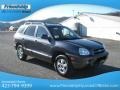 2005 Pewter Gray Hyundai Santa Fe GLS 4WD  photo #5