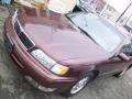 Brown Pearl - I 30 Touring Photo No. 29