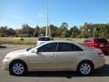 Sandy Beach Metallic - Camry  Photo No. 2