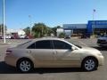 Sandy Beach Metallic - Camry  Photo No. 9