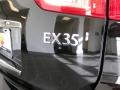Black Obsidian - EX 35 Journey Photo No. 14