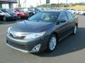 Magnetic Gray Metallic - Camry Hybrid XLE Photo No. 7