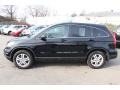 2010 Crystal Black Pearl Honda CR-V EX-L AWD  photo #8