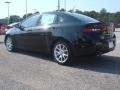 Pitch Black - Dart Rallye Photo No. 3