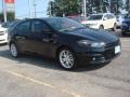 Pitch Black - Dart Rallye Photo No. 6
