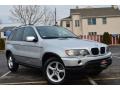 Titanium Silver Metallic - X5 3.0i Photo No. 1