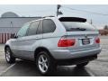Titanium Silver Metallic - X5 3.0i Photo No. 5