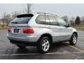 Titanium Silver Metallic - X5 3.0i Photo No. 7