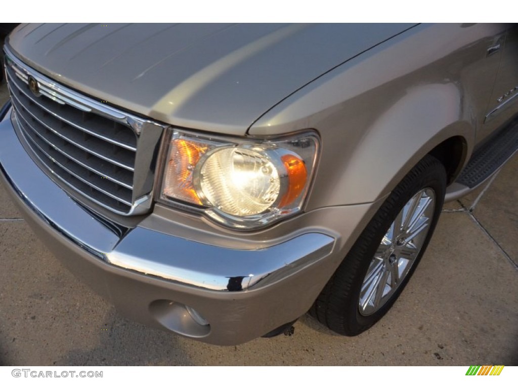 2008 Aspen Limited Walter P Chrysler Signature Series - Light Sandstone Metallic / Light Graystone photo #11