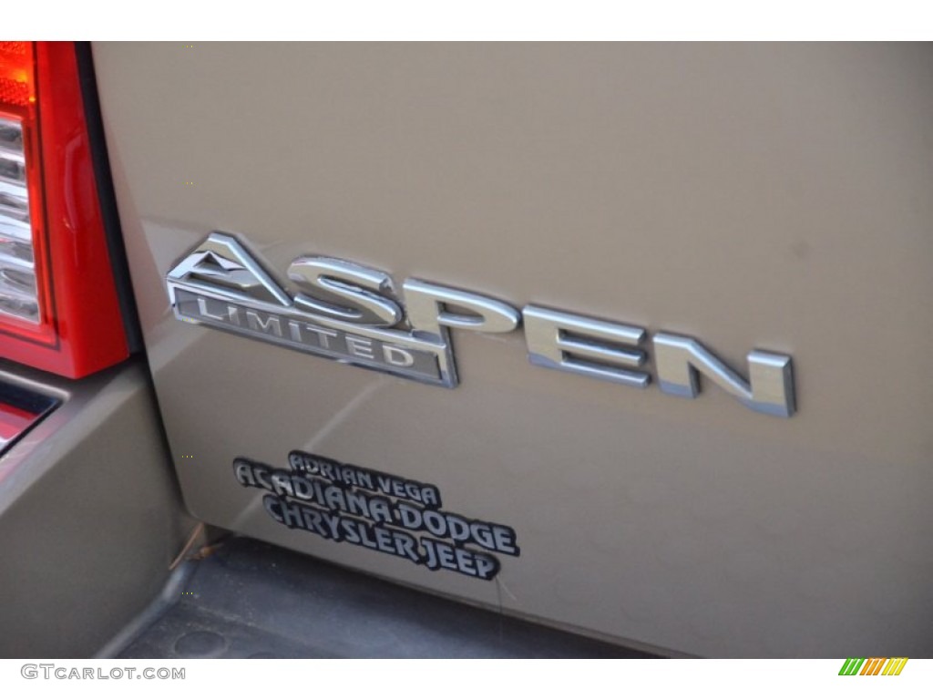 2008 Aspen Limited Walter P Chrysler Signature Series - Light Sandstone Metallic / Light Graystone photo #22