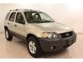 Gold Ash Metallic 2005 Ford Escape XLT V6