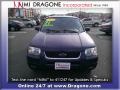 True Blue Metallic - Escape Limited 4WD Photo No. 2