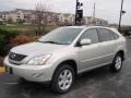 Millinnium Silver Metallic - RX 330 AWD Photo No. 1