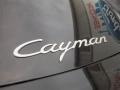 2011 Black Porsche Cayman   photo #9