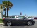 2006 Charcoal Beige Metallic Lincoln Zephyr   photo #2