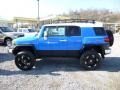 Voodoo Blue - FJ Cruiser 4WD Photo No. 4