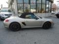 Platinum Silver Metallic - Boxster  Photo No. 5