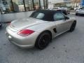 Platinum Silver Metallic - Boxster  Photo No. 6
