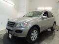 Pewter Metallic - ML 350 4Matic Photo No. 1