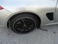 Platinum Silver Metallic - Boxster  Photo No. 44