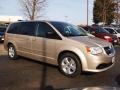 2013 Sandstone Dodge Grand Caravan SE  photo #2