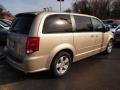 2013 Sandstone Dodge Grand Caravan SE  photo #3