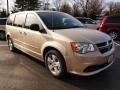 Sandstone - Grand Caravan SE Photo No. 2