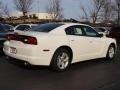 Ivory Pearl - Charger SE Photo No. 3