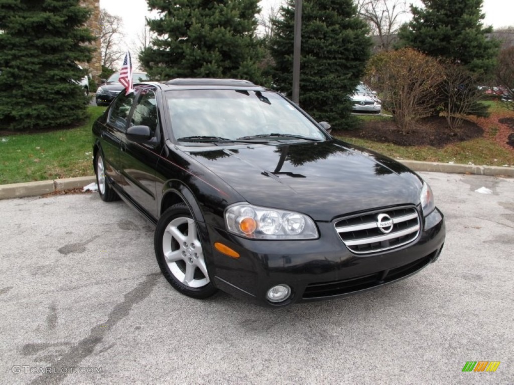 2003 Maxima SE - Super Black / Black photo #1