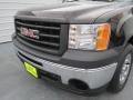 2010 Onyx Black GMC Sierra 1500 Regular Cab  photo #10