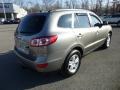 Mineral Gray - Santa Fe GLS AWD Photo No. 7
