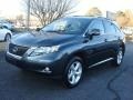 2010 Smokey Granite Mica Lexus RX 350 AWD  photo #6