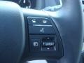 2010 Smokey Granite Mica Lexus RX 350 AWD  photo #23