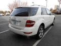 Arctic White - ML 350 4Matic Photo No. 7
