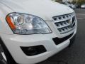 Arctic White - ML 350 4Matic Photo No. 9