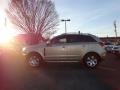 Golden Cashmere - VUE XR Photo No. 1