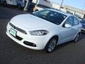 Bright White - Dart Limited Photo No. 7