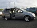 2007 Olive Gray Kia Sedona EX  photo #19