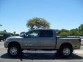 Granite - Titan LE Crew Cab Photo No. 6
