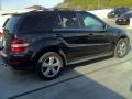 Black - ML 350 Photo No. 6