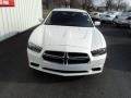 Ivory Pearl - Charger SE Photo No. 2