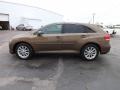 2009 Sunset Bronze Mica Toyota Venza I4  photo #4